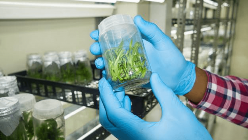 Our Services - MAKING SCIENCE, TECHNOLOGY & INNOVATION WORK FOR YOU