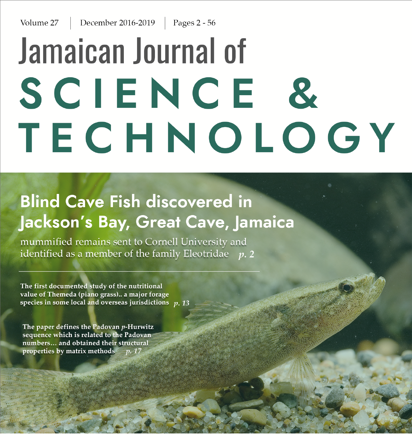 jamaican journal 2016-2019